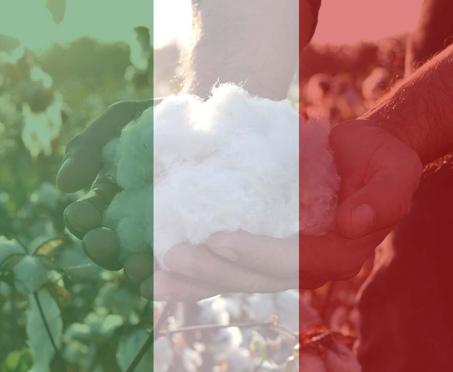 Il cotone biologico ora è italiano!